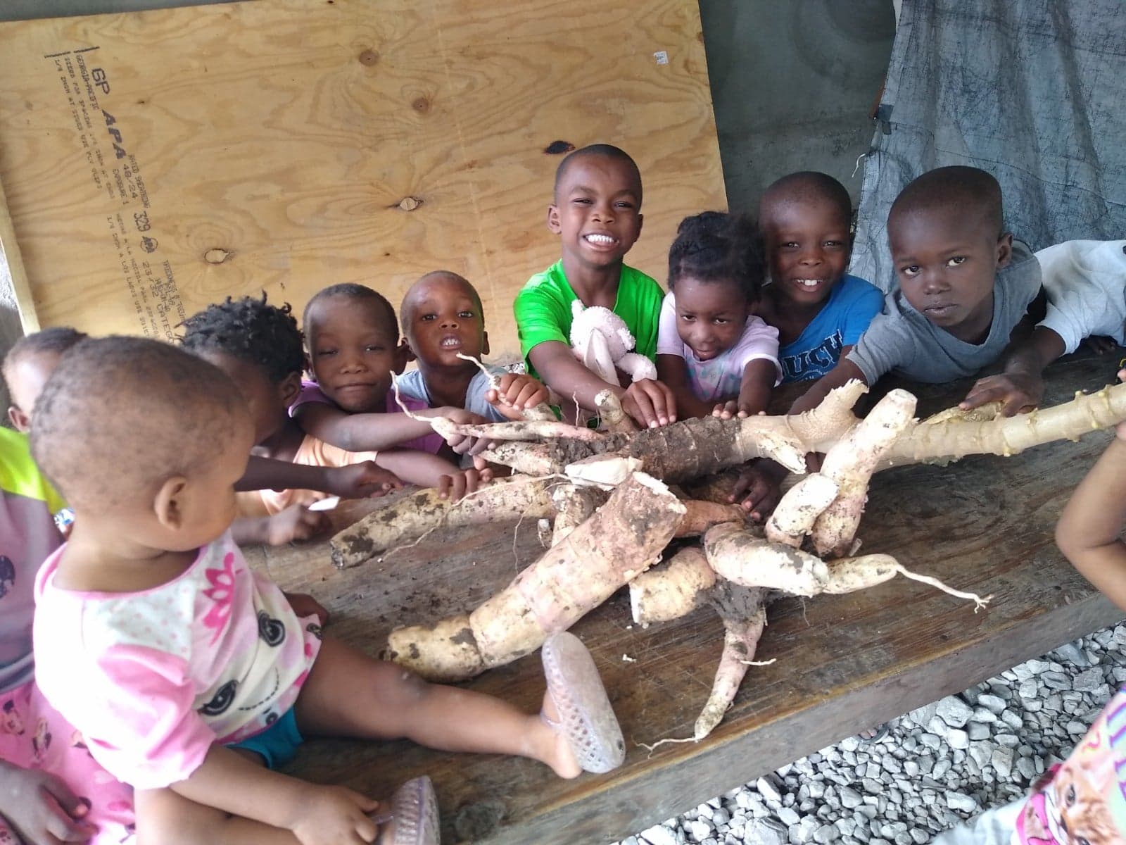 Seeds Planted in Good Soil