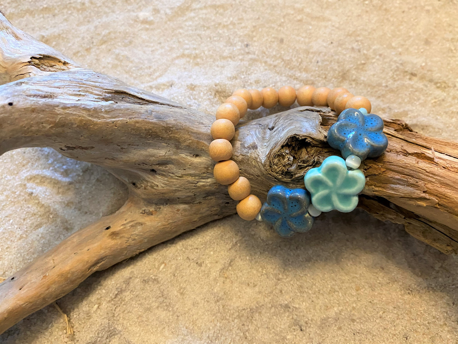 Natural Florida Flora and Fauna Collection